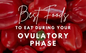 Read more about the article Best Foods for Ovulatory Phase