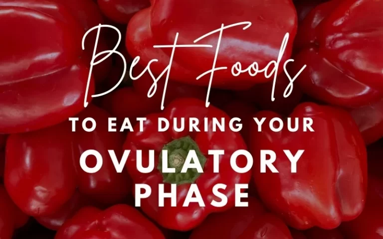 best foods for ovulatory phase